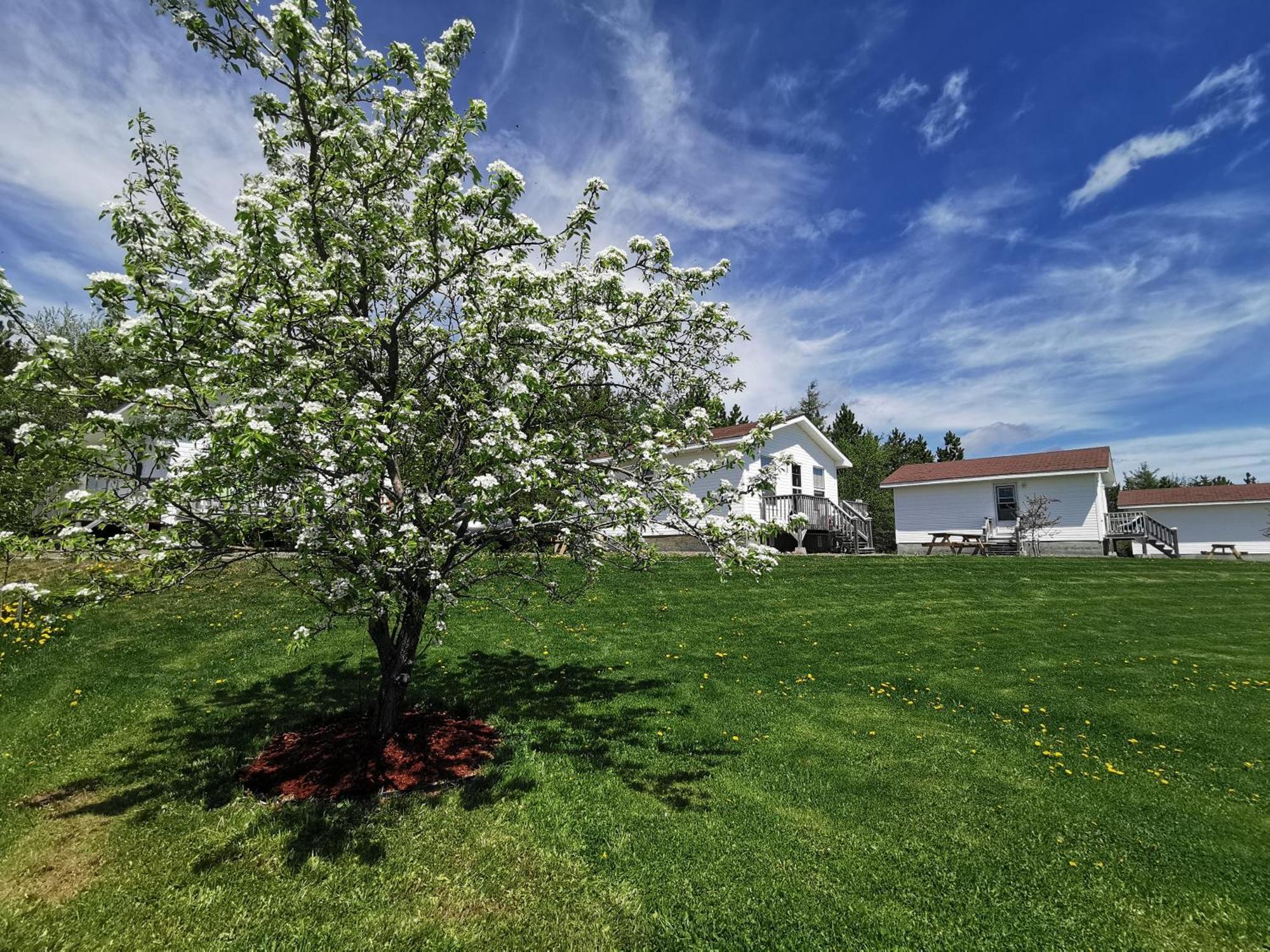 L'Ancrage B&B And Cottages Saint Louis de Kent Екстериор снимка