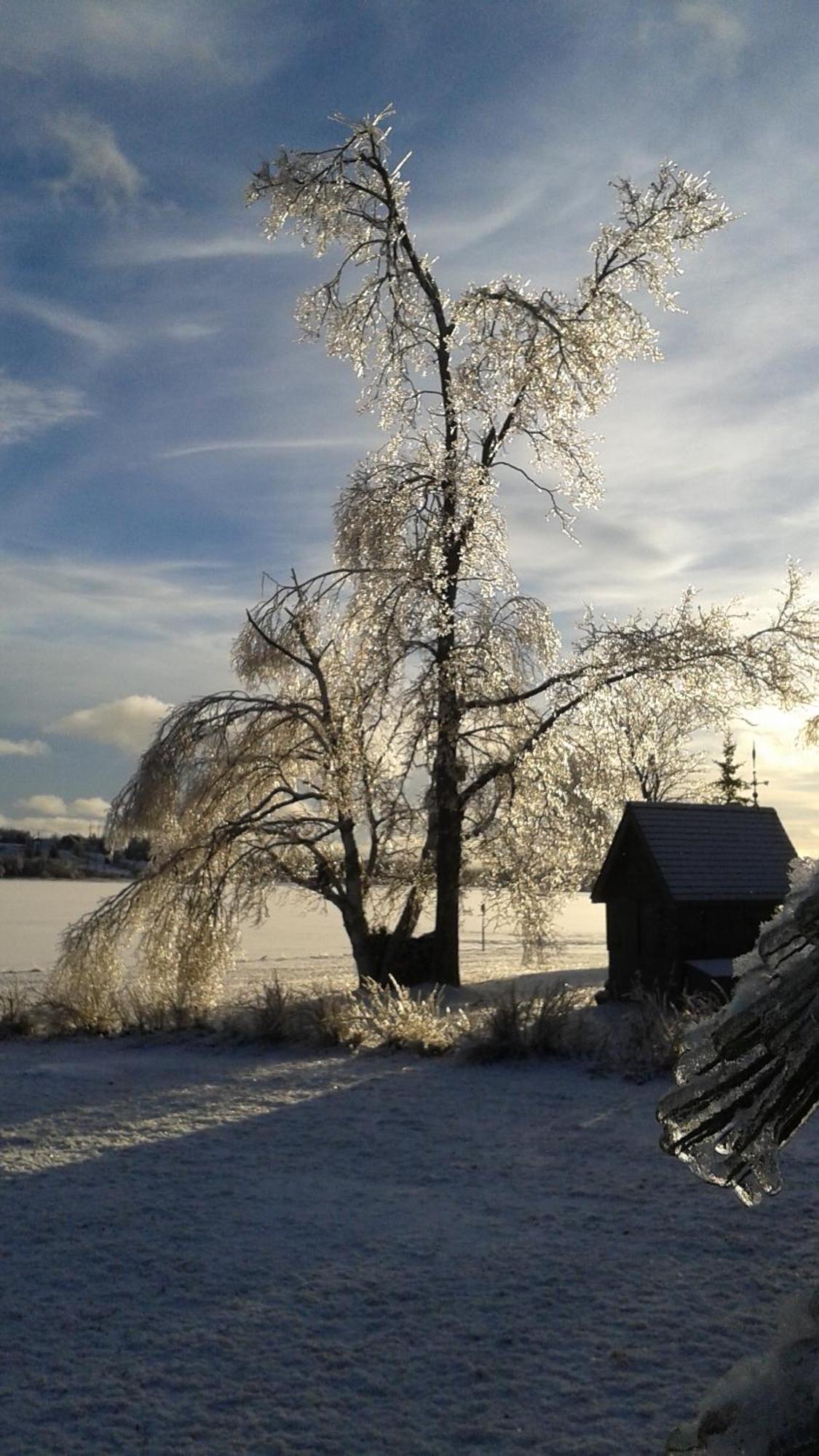 L'Ancrage B&B And Cottages Saint Louis de Kent Екстериор снимка